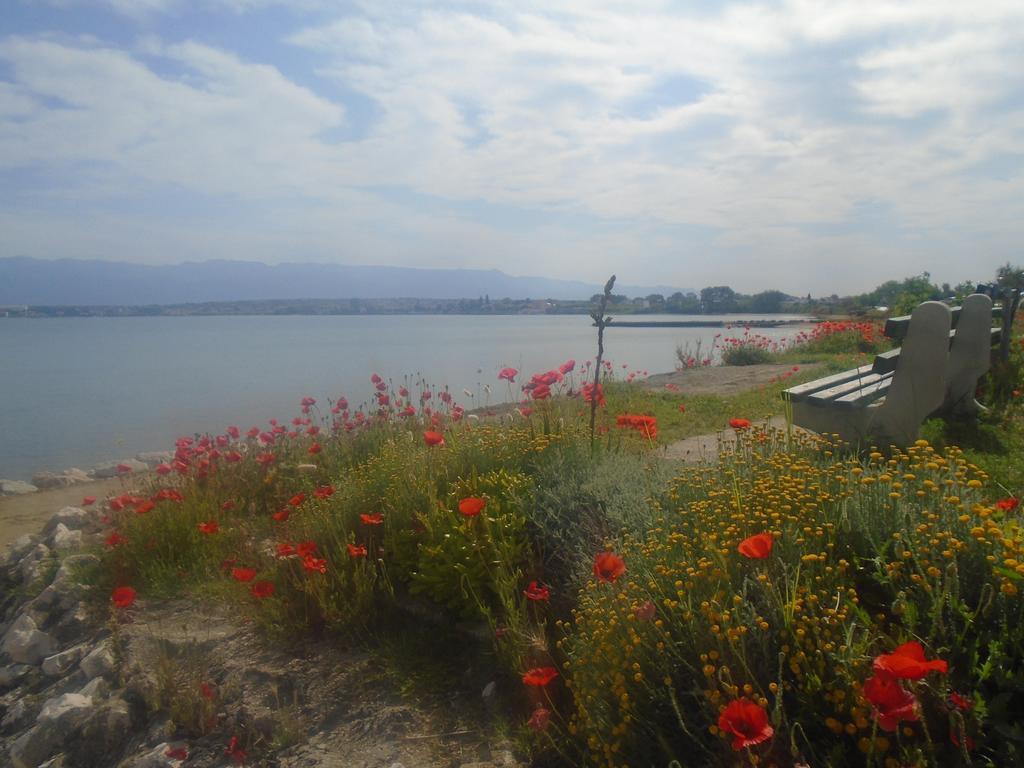 Apartman Selman *