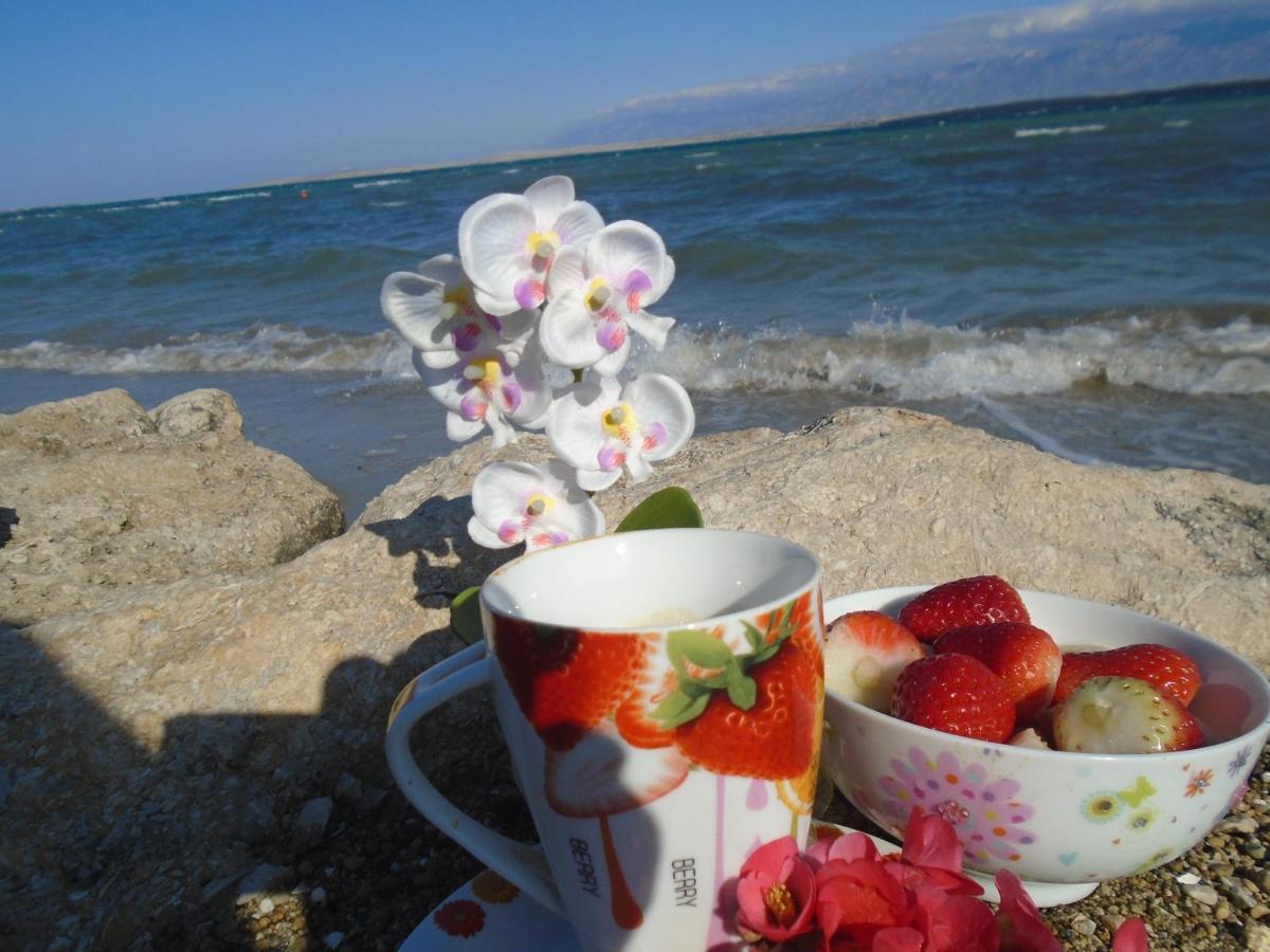 Selman Apartament *